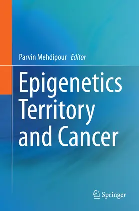 Mehdipour | Epigenetics Territory and Cancer | E-Book | www.sack.de