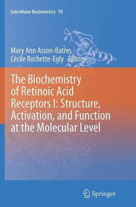 Rochette-Egly / Asson-Batres | The Biochemistry of Retinoic Acid Receptors I: Structure, Activation, and Function at the Molecular Level | Buch | 978-94-024-0340-4 | sack.de