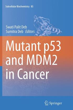 Deb | Mutant p53 and MDM2 in Cancer | Buch | 978-94-024-0357-2 | sack.de