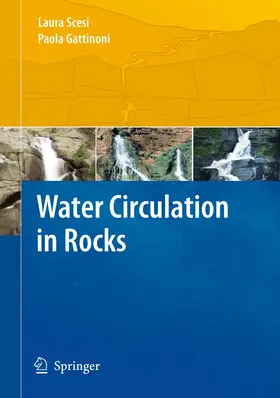 Gattinoni / Scesi |  Water Circulation in Rocks | Buch |  Sack Fachmedien