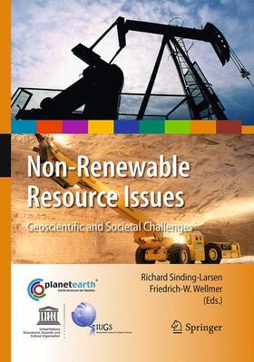 Wellmer / Sinding-Larsen | Non-Renewable Resource Issues | Buch | 978-94-024-0499-9 | sack.de