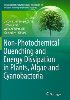 Demmig-Adams / Govindjee / Garab | Non-Photochemical Quenching and Energy Dissipation in Plants, Algae and Cyanobacteria | Buch | 978-94-024-0628-3 | sack.de
