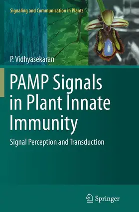 Vidhyasekaran |  PAMP Signals in Plant Innate Immunity | Buch |  Sack Fachmedien
