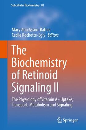 Rochette-Egly / Asson-Batres | The Biochemistry of Retinoid Signaling II | Buch | 978-94-024-0943-7 | sack.de