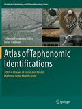 Andrews / Fernandez-Jalvo |  Atlas of Taphonomic Identifications | Buch |  Sack Fachmedien