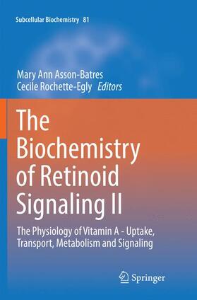 Rochette-Egly / Asson-Batres | The Biochemistry of Retinoid Signaling II | Buch | sack.de