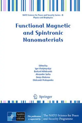 Vladymyrskyi / Hillebrands / Serha |  Functional Magnetic and Spintronic Nanomaterials | eBook | Sack Fachmedien