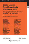 Hendrickx / Pichrt / Koldinska |  Labour Law and Social Protection in a Globalized World | Buch |  Sack Fachmedien