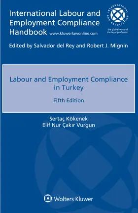 Kökenek / Vurgun |  Labour and Employment Compliance in Turkey | Buch |  Sack Fachmedien