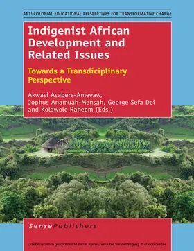 Asabere-Ameyaw / Anamuah-Mensah / Dei | Indigenist African Development and Related Issues | E-Book | sack.de
