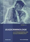 Weijers |  Jeugdcriminologie | Buch |  Sack Fachmedien