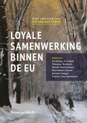 Beukers / Campo / Bulterman | Loyale samenwerking binnen de EU | Buch | 978-94-6290-863-5 | sack.de