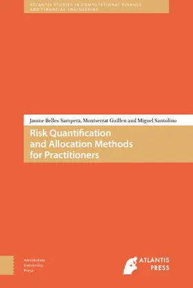Belles-Sampera / Guillén / Santolino |  Risk Quantification and Allocation Methods for Practitioners | Buch |  Sack Fachmedien