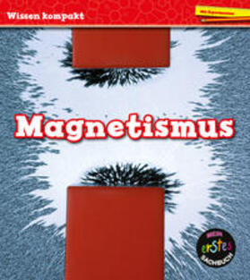 Royston | Magnetismus | Buch | 978-94-6341-028-1 | sack.de