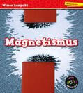 Royston |  Magnetismus | Buch |  Sack Fachmedien