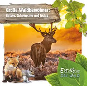 Twiddy |  Große Waldbewohner: Hirsche, Eichhörnchen und Füchse | Buch |  Sack Fachmedien