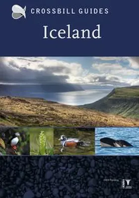 Hilbers |  Iceland | Buch |  Sack Fachmedien