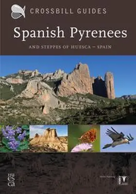 Woutersen / Hilbers |  Spanish Pyrenees | Buch |  Sack Fachmedien