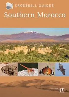 Pitt |  Southern Morocco | Buch |  Sack Fachmedien