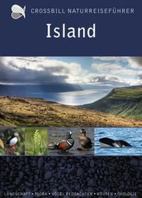 Hilbers |  Island | Buch |  Sack Fachmedien