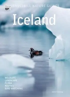Hilbers |  Iceland | Buch |  Sack Fachmedien