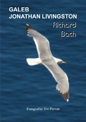 Bach |  Galeb Jonathan Livingston | eBook | Sack Fachmedien