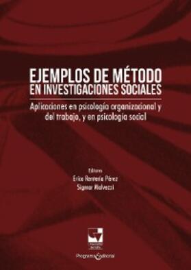 Rentería Pérez / Malvezzi |  Ejemplos de método en investigaciones sociales | eBook | Sack Fachmedien