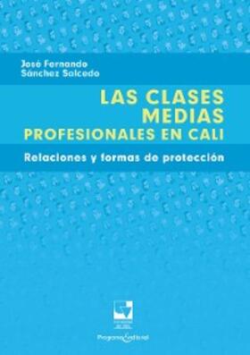 Sánchez Salcedo |  Las clases medias profesionales en Cali | eBook | Sack Fachmedien