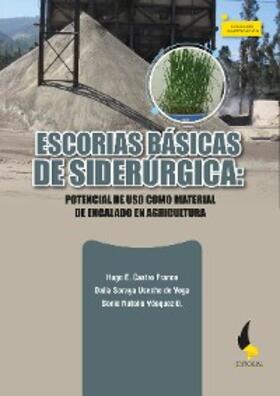 Castro Franco / Useche de Vega / Vásquez D. |  Escorias básicas de Siderúrgica: | eBook | Sack Fachmedien