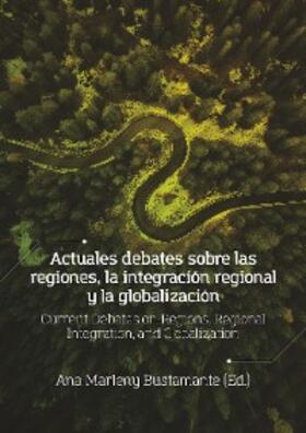 Bustamante / Sabiá de Moura / Ganster |  Actuales debates sobre las regiones, la integración regional y la globalización | eBook | Sack Fachmedien
