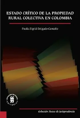 Delgado Castaño |  Estado crítico de la propiedad rural colectiva en Colombia | eBook | Sack Fachmedien