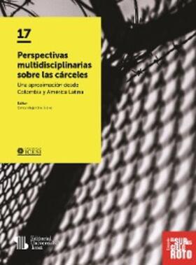 Bravo |  Perspectivas multidisciplinarias sobre las cárceles | eBook | Sack Fachmedien