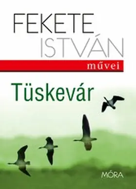 Fekete |  Tüskevár | eBook | Sack Fachmedien