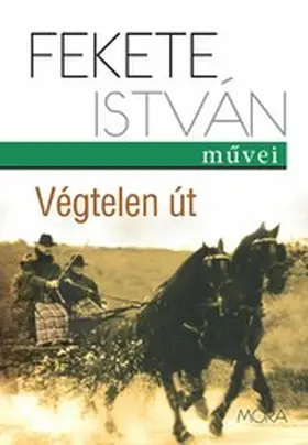 Fekete |  Végtelen út | eBook | Sack Fachmedien