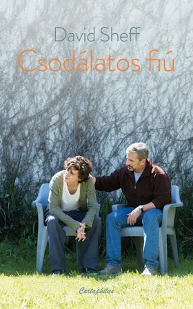 Sheff |  Csodálatos fiú | eBook | Sack Fachmedien