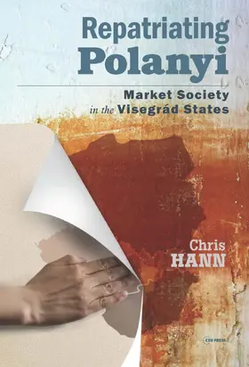 Hann |  Repatriating Polanyi | Buch |  Sack Fachmedien