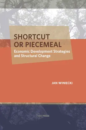 Winiecki |  Shortcut or Piecemeal | Buch |  Sack Fachmedien