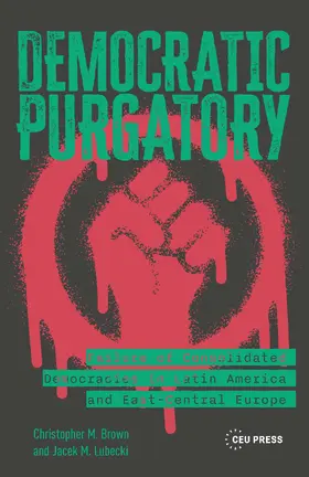 Brown / Lubecki |  Democratic Purgatory | Buch |  Sack Fachmedien