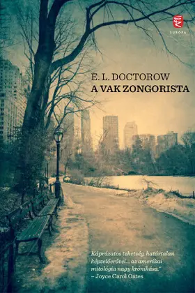 Doctorow |  A vak zongorista | eBook | Sack Fachmedien