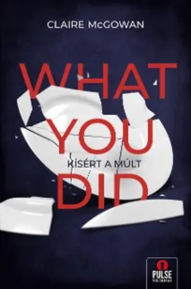 Mcgowan |  What You Did | eBook | Sack Fachmedien