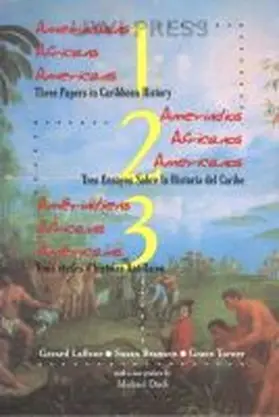 Lafleur / Branson / Turner |  Amerindians/Africans/Americans | Buch |  Sack Fachmedien