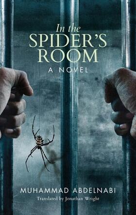 Abdelnabi |  In the Spider's Room | Buch |  Sack Fachmedien