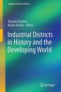 Otsuka / Hashino |  Industrial Districts in History and the Developing World | Buch |  Sack Fachmedien