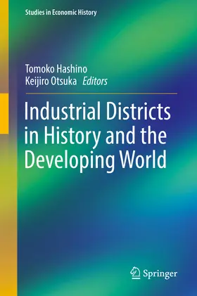 Hashino / Otsuka | Industrial Districts in History and the Developing World | E-Book | sack.de