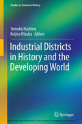 Hashino / Otsuka |  Industrial Districts in History and the Developing World | eBook | Sack Fachmedien