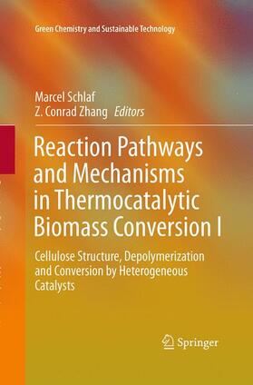 Zhang / Schlaf | Reaction Pathways and Mechanisms in Thermocatalytic Biomass Conversion I | Buch | 978-981-10-1316-4 | sack.de