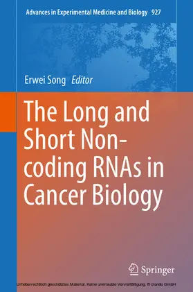 Song |  The Long and Short Non-coding RNAs in Cancer Biology | eBook | Sack Fachmedien