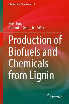 Smith / Fang / Smith, Jr. | Production of Biofuels and Chemicals from Lignin | Buch | 978-981-10-1964-7 | sack.de