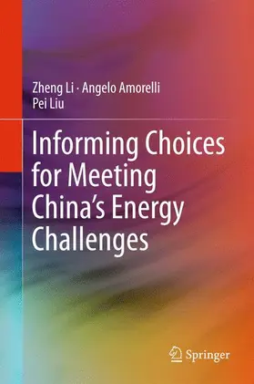 Li / Liu / Amorelli |  Informing Choices for Meeting China's Energy Challenges | Buch |  Sack Fachmedien