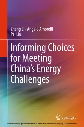 Li / Amorelli / Liu |  Informing Choices for Meeting China’s Energy Challenges | eBook | Sack Fachmedien